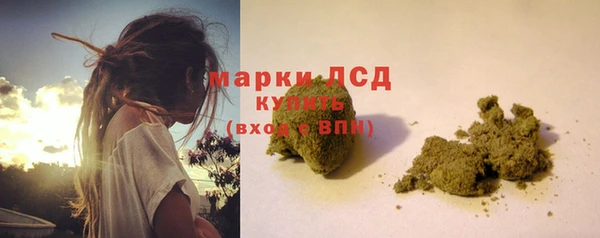 крисы Нея